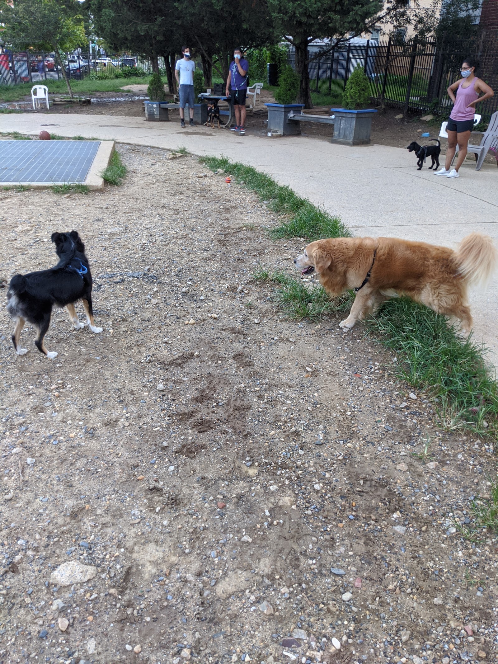 Columbia Heights Dog Park