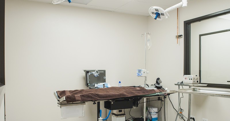 Companion Animal Health & Rehabilitation Center photo 2