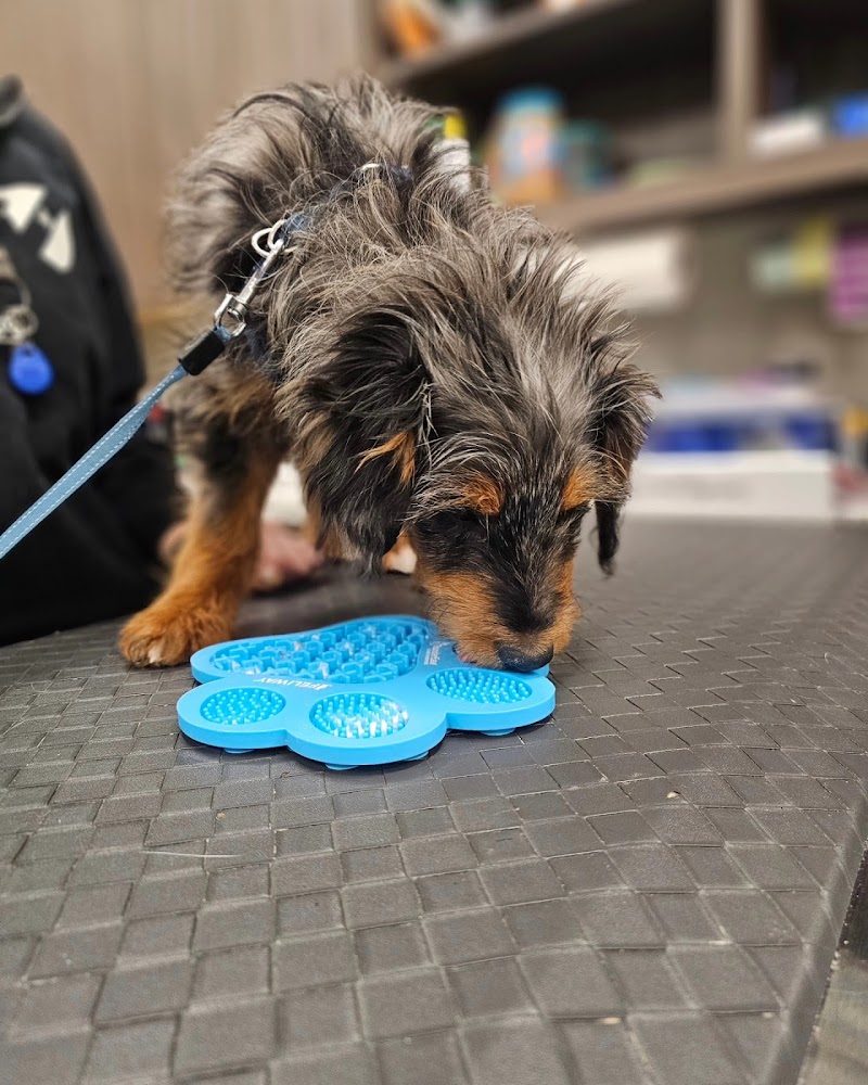 Companion Animal Wellness Center