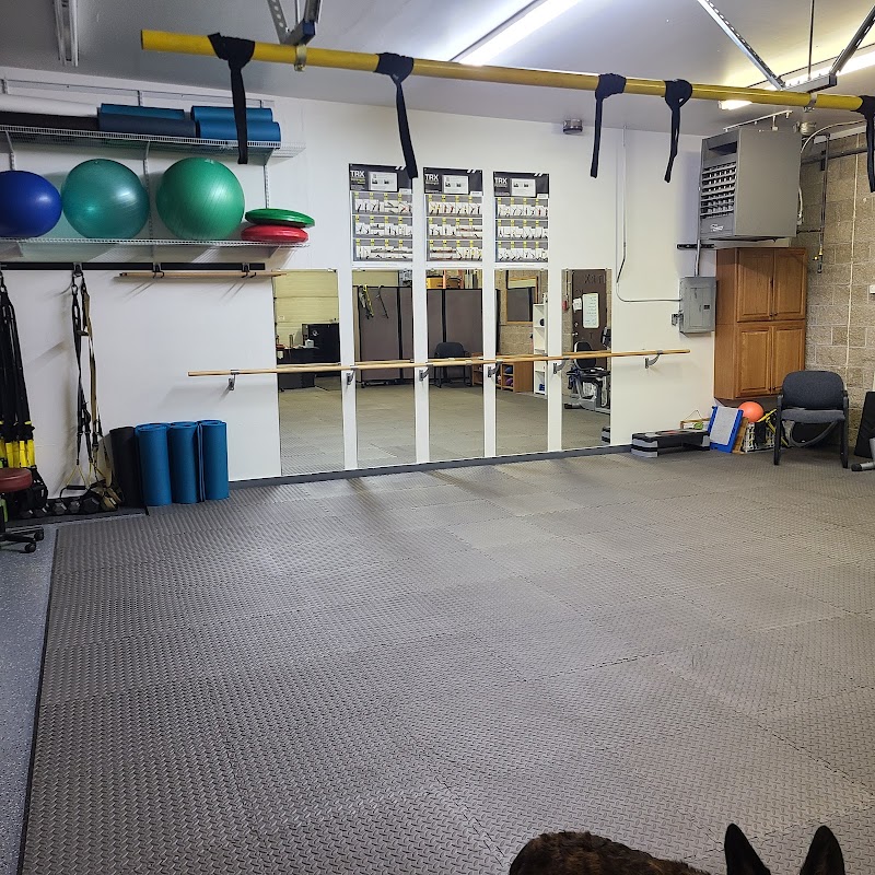 Comprehensive Physical Therapy and Comprehensive Canine Physical Therapy photo 2