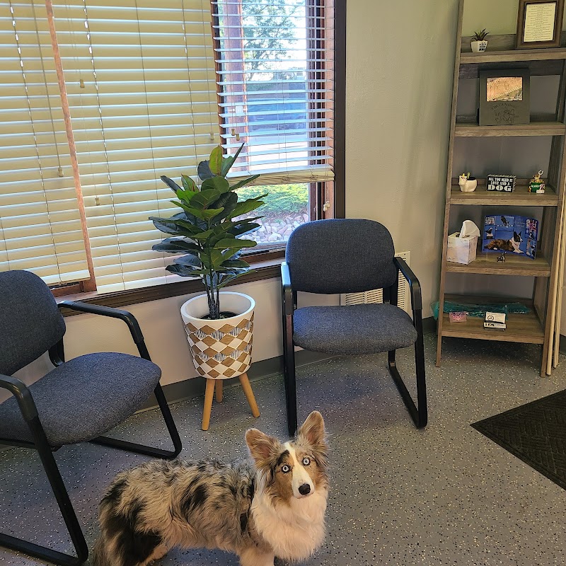 Comprehensive Physical Therapy and Comprehensive Canine Physical Therapy photo 3