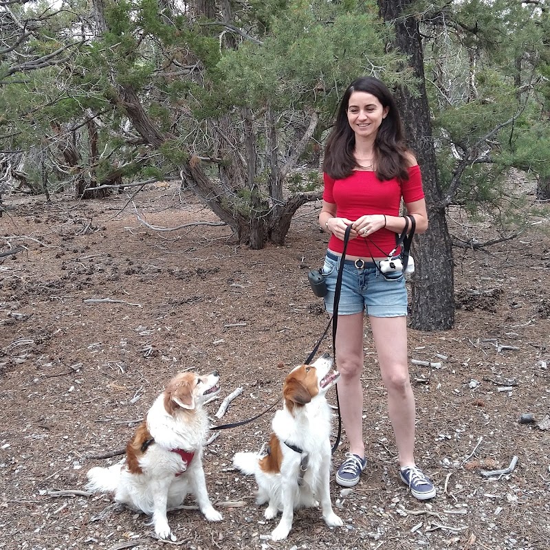 Confident Canines LLC photo 2