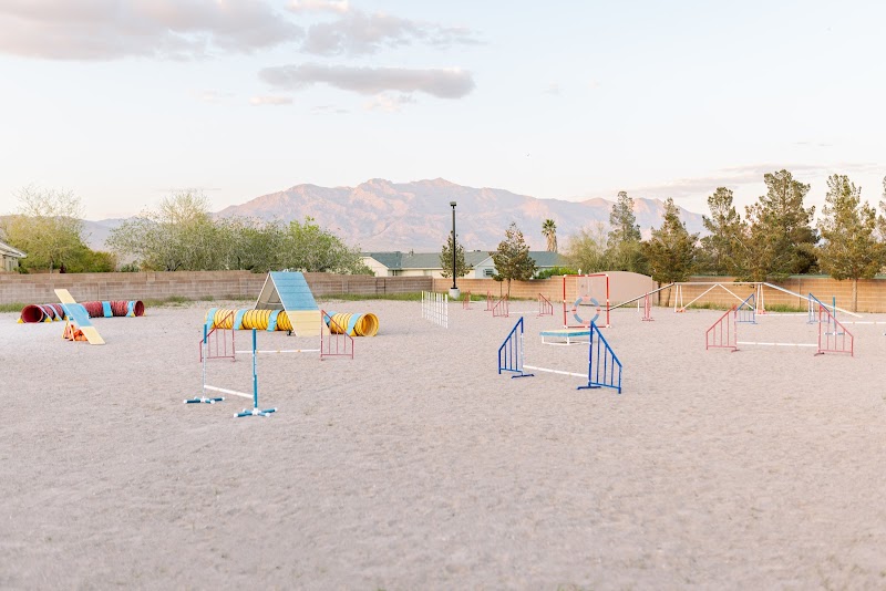 Confident Canines LLC photo 3