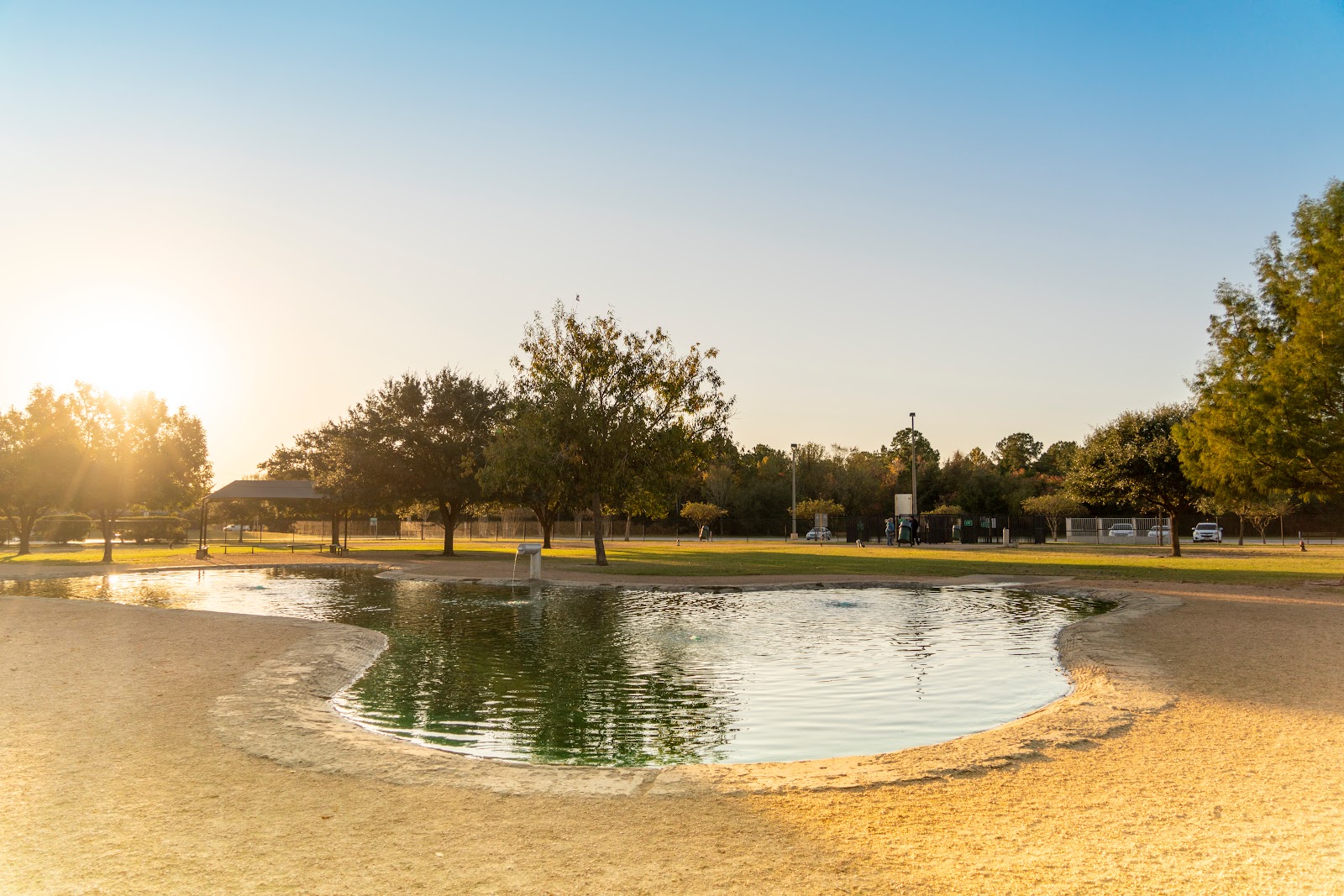 Congressman Bill Archer Dog Park
