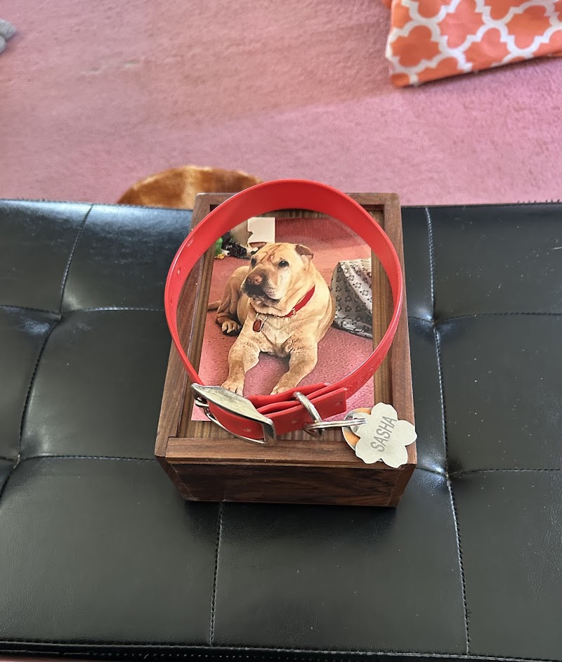 Coral Cremations Animals