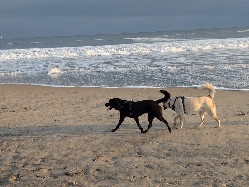 Coronado Dog Beach