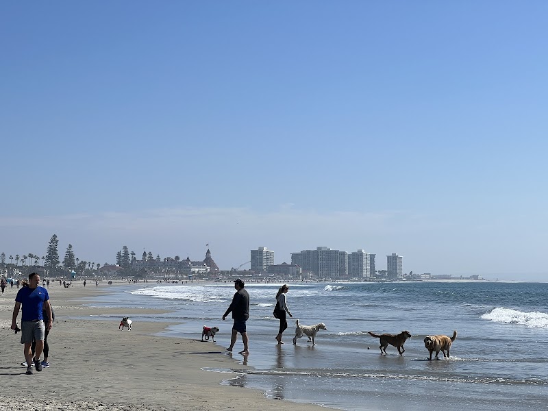 Coronado Dog Beach photo 2