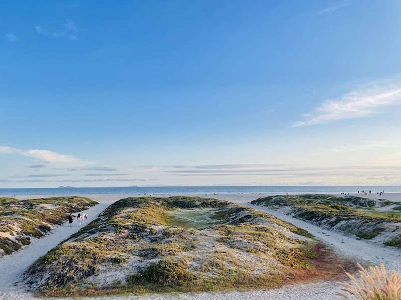 Coronado Dog Beach photo 3