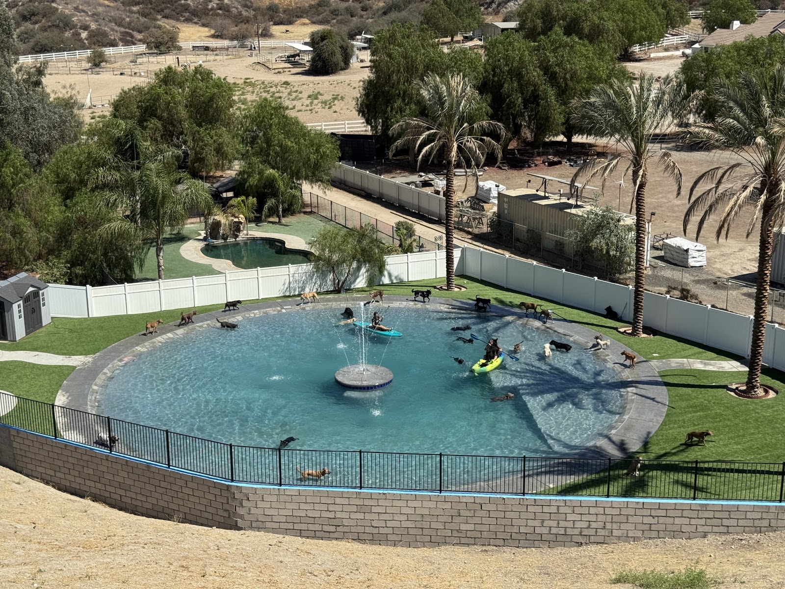 Country Dog Ranch boarding waterpark