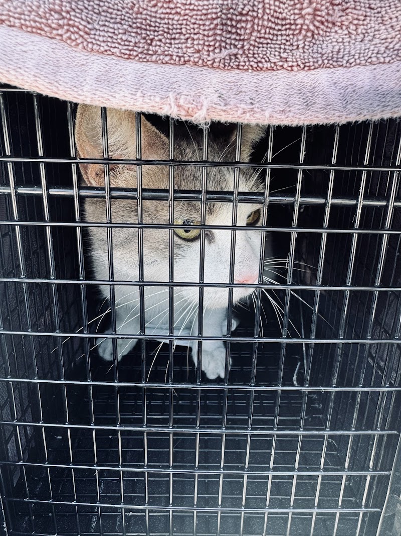 County of San Diego Department of Animal Services