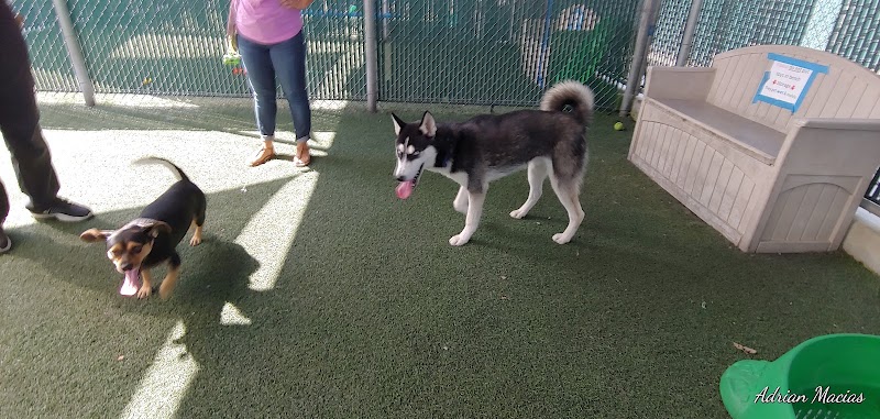 County of San Diego Department of Animal Services photo 2