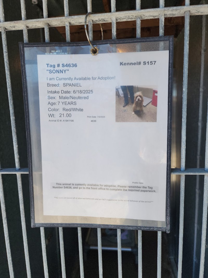 County of San Diego Department of Animal Services photo 3