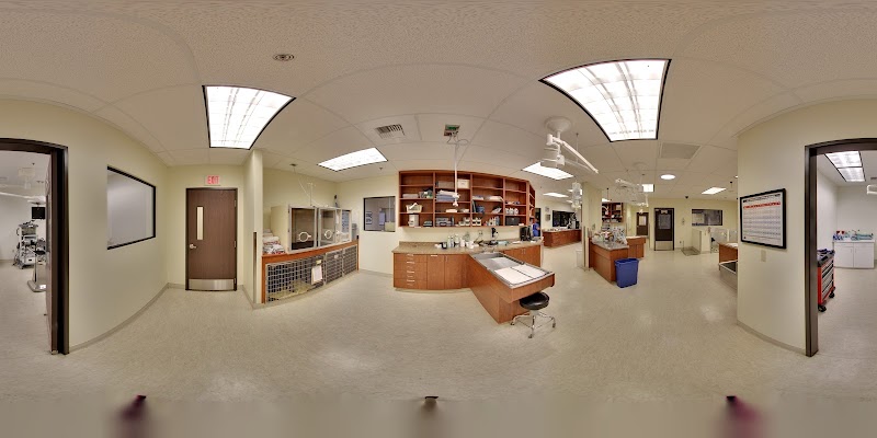 Craig Road Animal Hospital photo 2