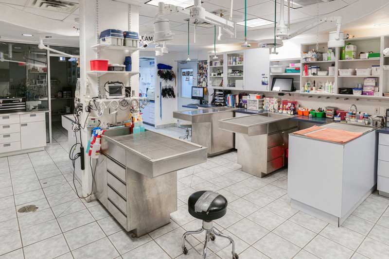 Creature Comforts Animal Hospital photo 3