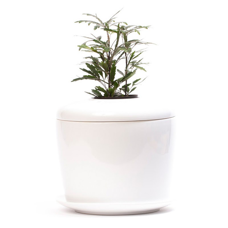 Cremation.Green - Austin Funeral Home photo 3