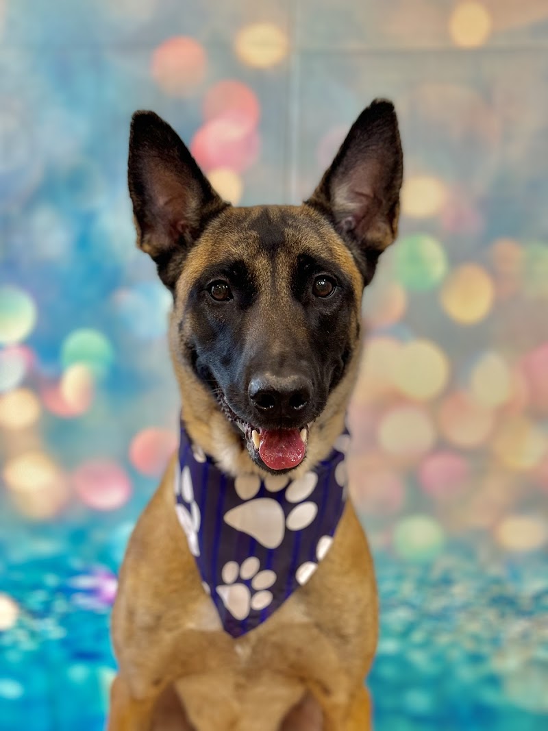 Crystal’s Grooming