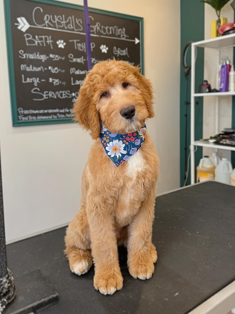 Crystal’s Grooming photo 2