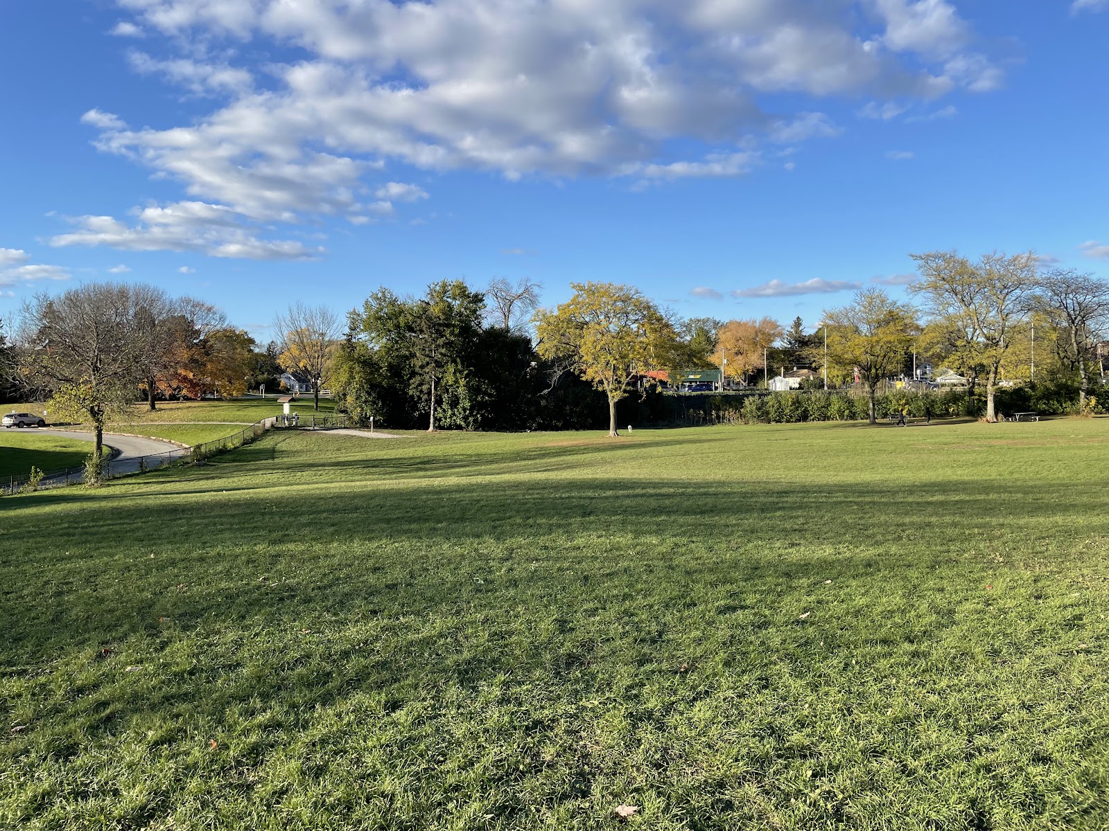 Currie Dog Park