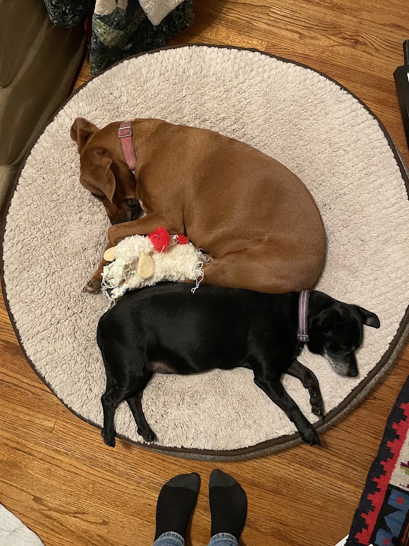 Great River Pet Center photo 2