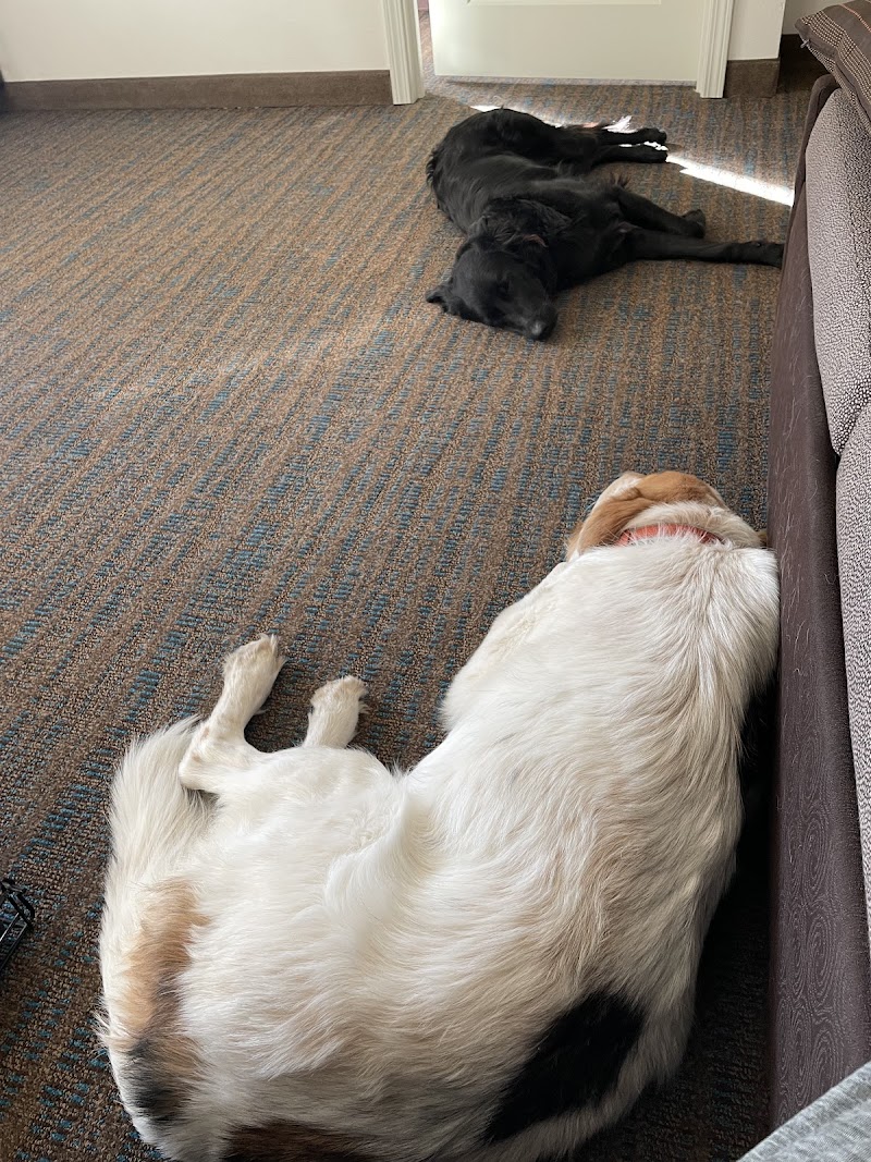 Great River Pet Center photo 3