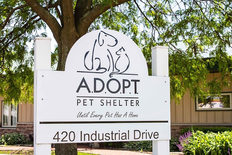 Adopt Pet Shelter