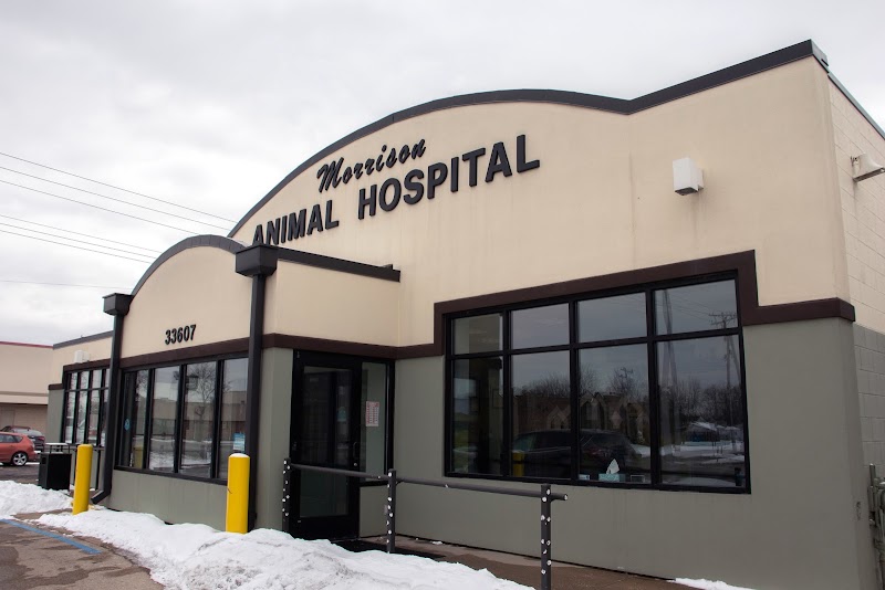 Morrison Animal Hospital