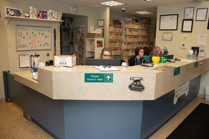 Morrison Animal Hospital photo 2