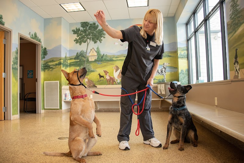 Morrison Animal Hospital photo 3