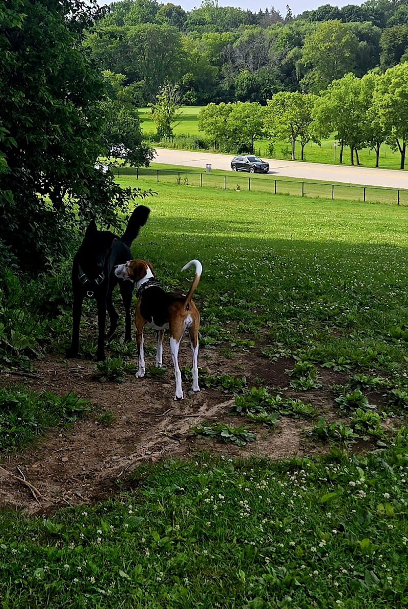 Currie Dog Park photo 2