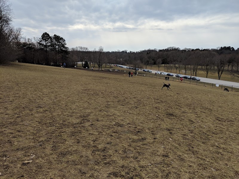 Currie Dog Park photo 3