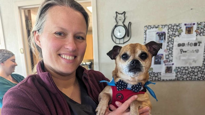 VCA Boulder Terrace Animal Hospital