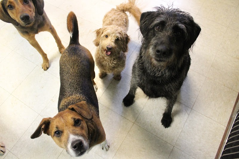 Camp Cheeney Creek photo 2