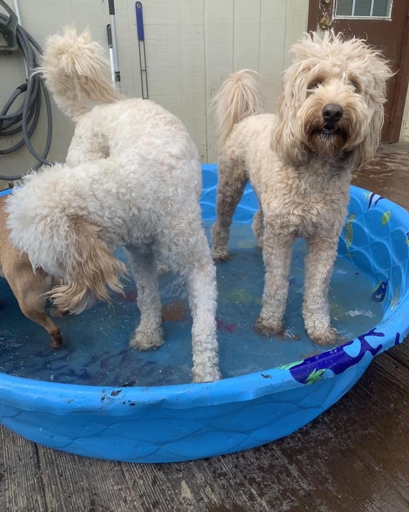 Camp Cheeney Creek photo 3