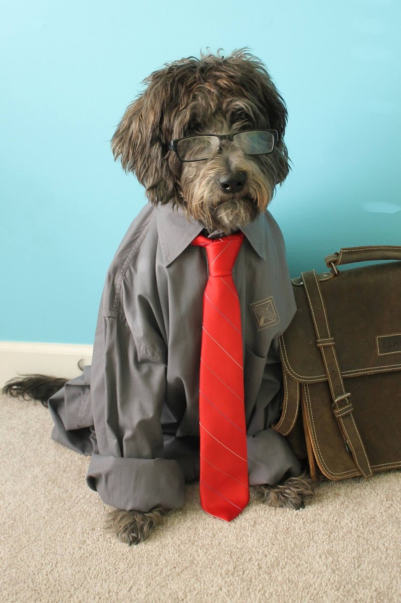 County Line Animal Hospital