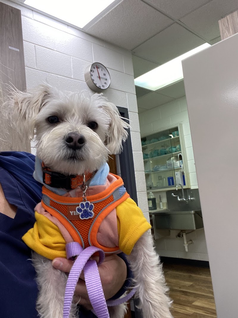 County Line Animal Hospital photo 2