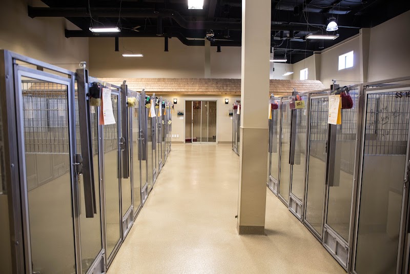 Barkefellers photo 3