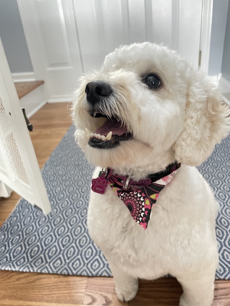 Valley Animal Hospital photo 2