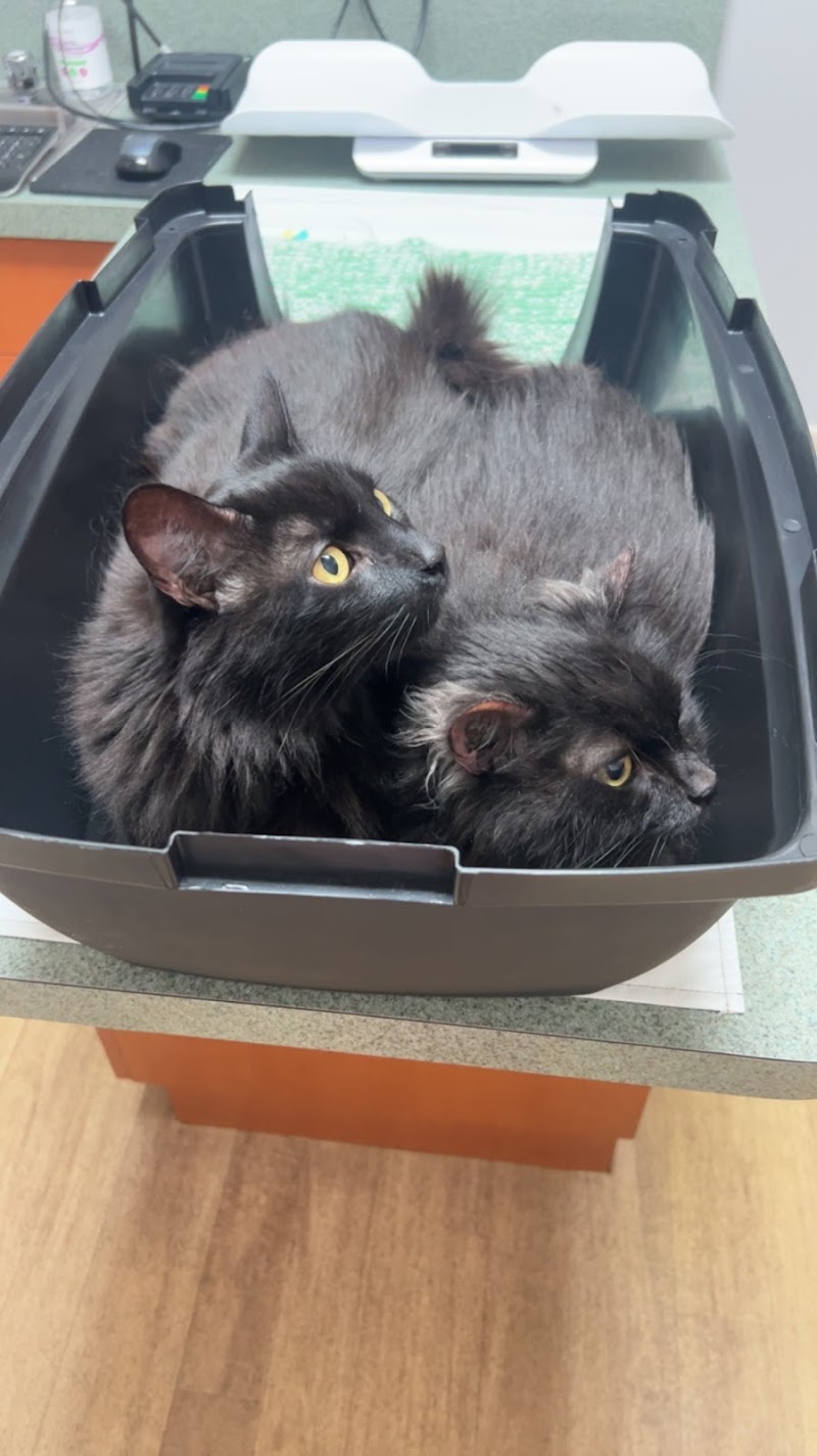 Valley Animal Hospital photo 3