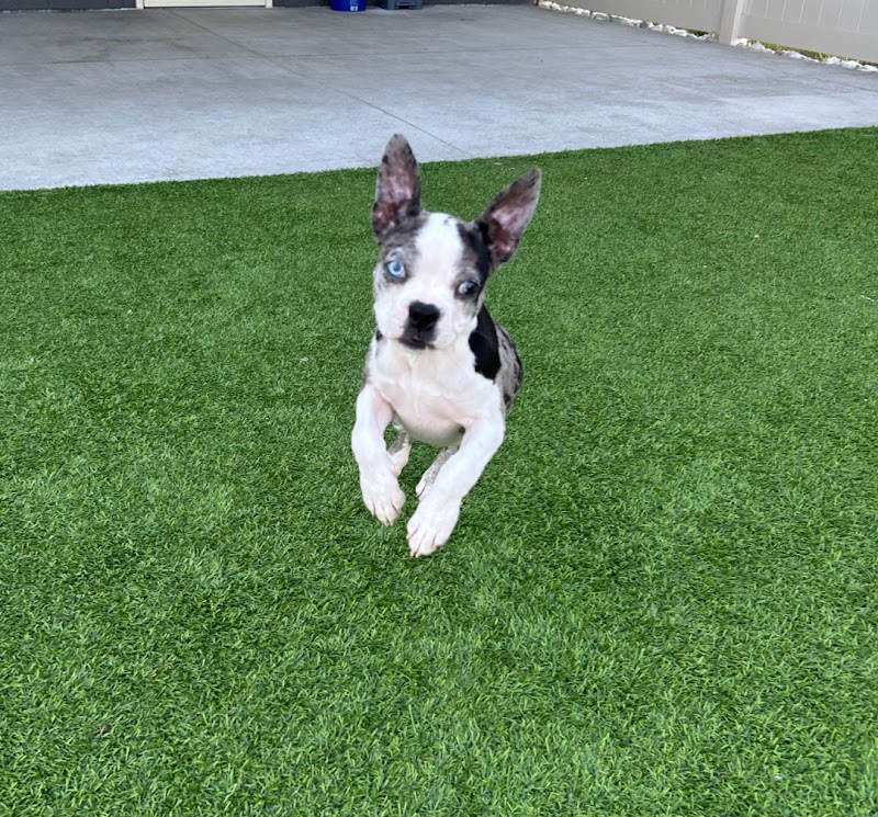 Priority Boarding photo 2