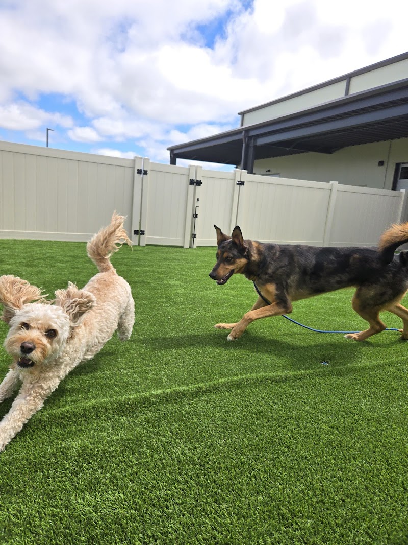 Priority Boarding photo 3