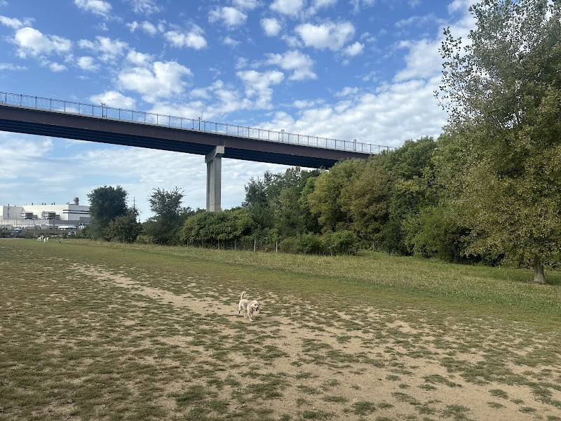 High Bridge Dog Park