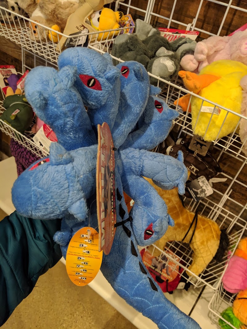 Aeslin Pup Hub Ukrainian Village photo 2