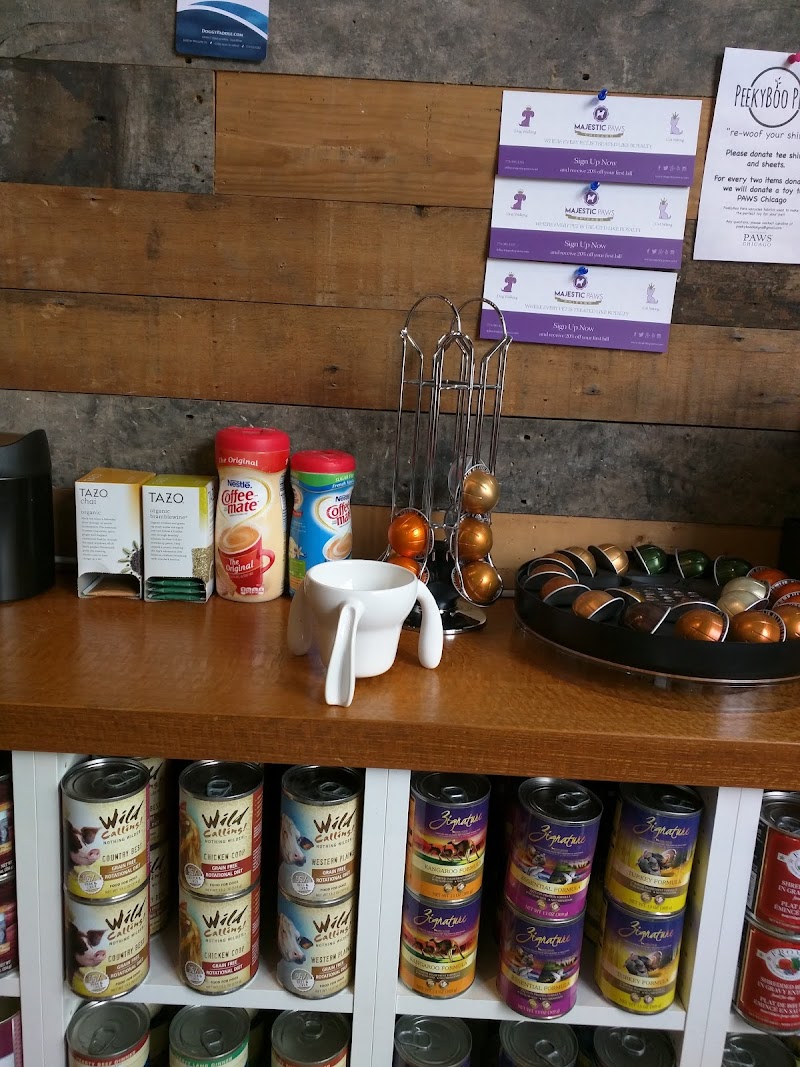 Aeslin Pup Hub Ukrainian Village photo 3