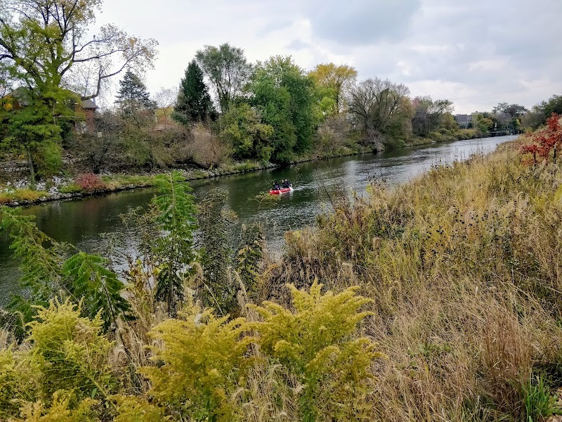 Horner Dog Friendly Area