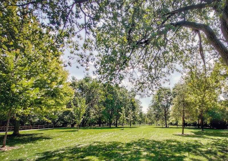 Horner Dog Friendly Area photo 3