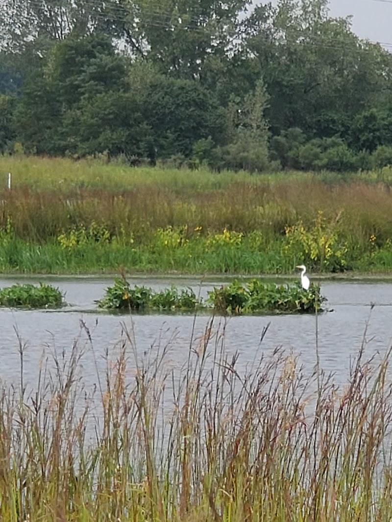 Whalon Lake Dog Park photo 2