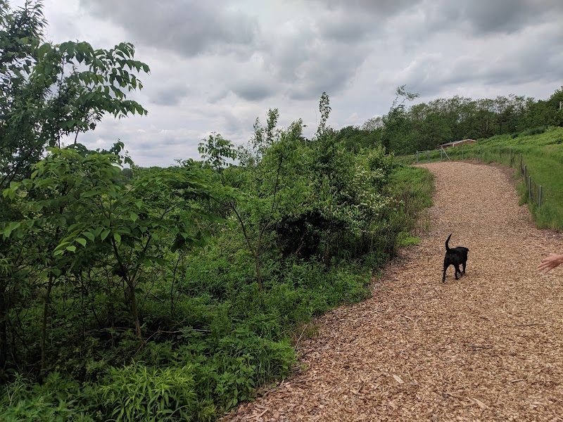 Whalon Lake Dog Park photo 3