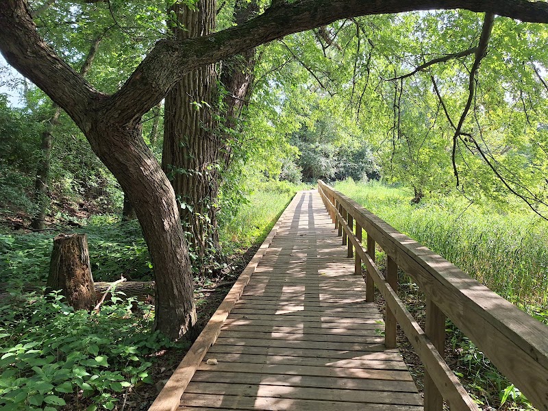 Bullwinkles N Whispers Wagging Trails photo 3