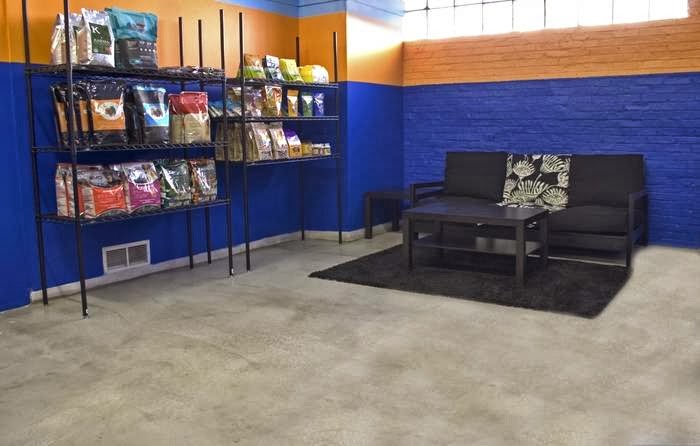 All Star Pet Care photo 2