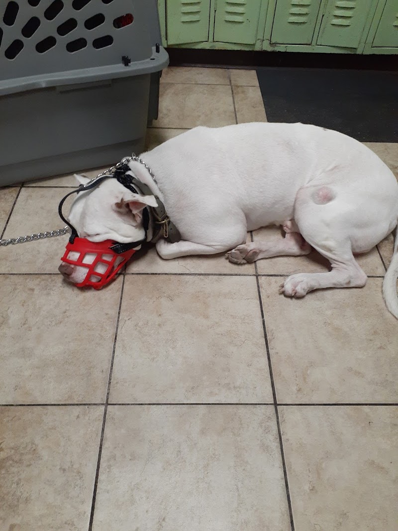 West Michigan Street Veterinary Clinic